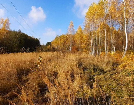 Виды поселка Флора Парк