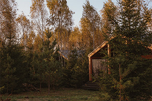 Эко-поселок Shelkovo Village