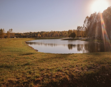 Территория в поселке Виды Shelkovo Village