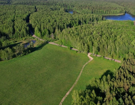 Виды Михалево Парк