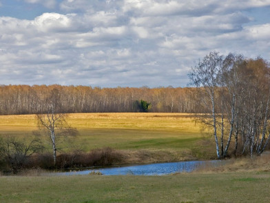 Коттеджный поселок Заболотье Вилладж
