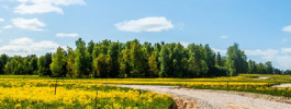 Коттеджный поселок Shelkovo Park