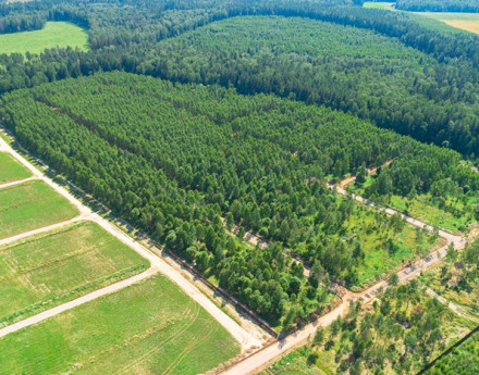 Поселок Shelkovo Village