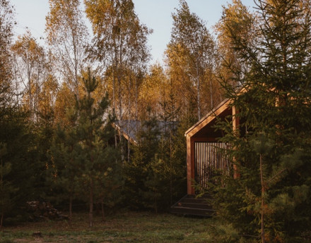 Территория Shelkovo Village