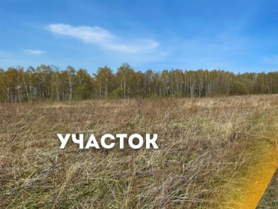 Коттеджный поселок Дмитриевское