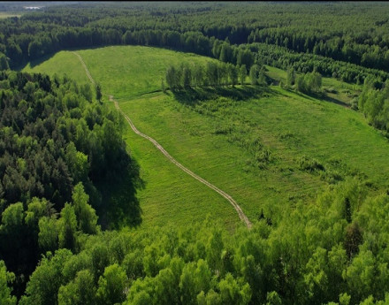 Виды Михалево Парк