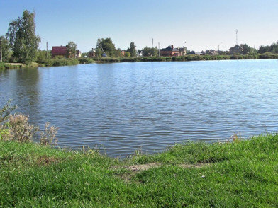 Дачный поселок Ожерелки лайф