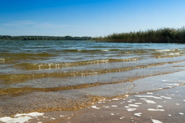 Рузское водохранилище – преимущества и перспективы